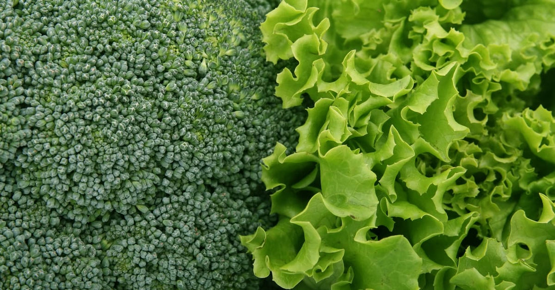 Verduras y fibra para la salud digestiva