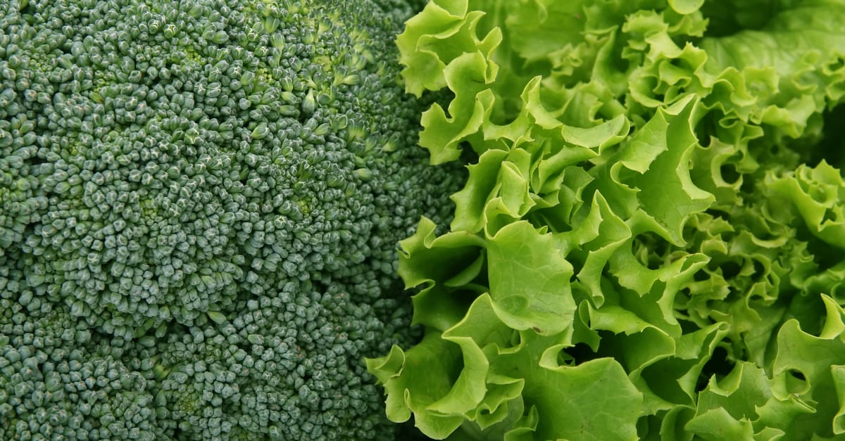 Verduras y fibra para la salud digestiva